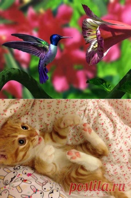 олег русский (odesit741) | Твиттер