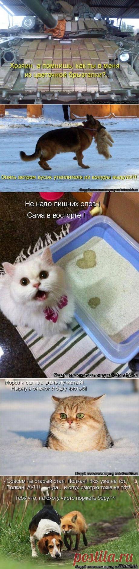 Котоматрицы с улыбочкой