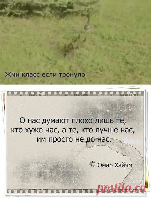 Одноклассники