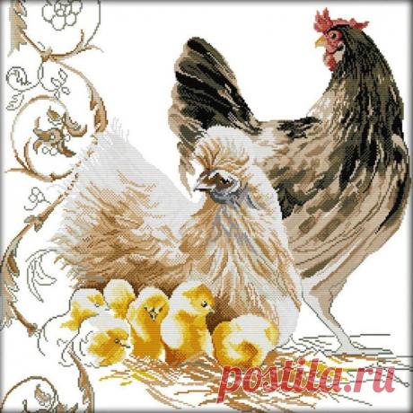 427.38руб. |Холст Rooster family с напечатанным рисунком для вышивки крестиком, «сделай сам», ручная вышивка, наборы для рукоделия, без обруча для вышивки|Канва Aida|   | АлиЭкспресс Покупай умнее, живи веселее! Aliexpress.com