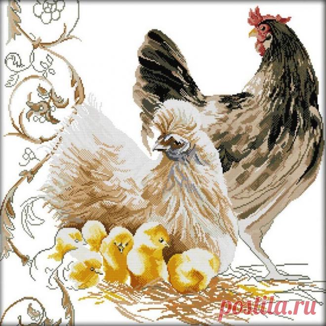 427.38руб. |Холст Rooster family с напечатанным рисунком для вышивки крестиком, «сделай сам», ручная вышивка, наборы для рукоделия, без обруча для вышивки|Канва Aida|   | АлиЭкспресс Покупай умнее, живи веселее! Aliexpress.com