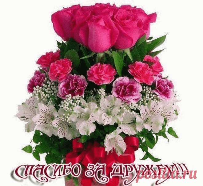 6097450.gif (1004×917)