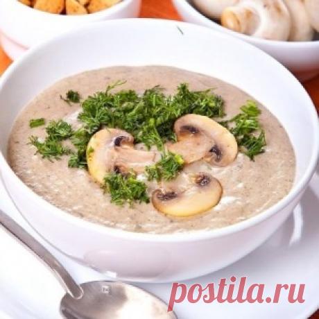 Мастер-класс: крем-суп из шампиньонов