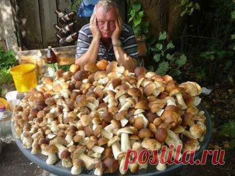 Богатый урожай. (41) Одноклассники