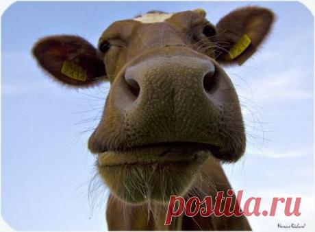 Индийский гороскоп. Часть вторая - Все случается, рано или поздно, так или иначе