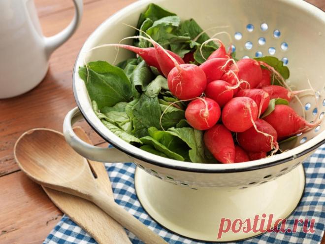 Жгучее удовольствие: польза и вред редиса.