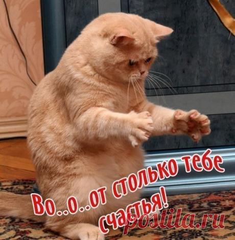 Уникальная возможность для Вас!!! Онлайн-бизнес для всех!!! БЕЗ ВЛОЖЕНИЙ!!! БЕЗ ПРОДАЖ!!! РЕАЛЬНО, ПРОСТО, ДОСТУПНО!!! Пишите в личку, отвечу всем!