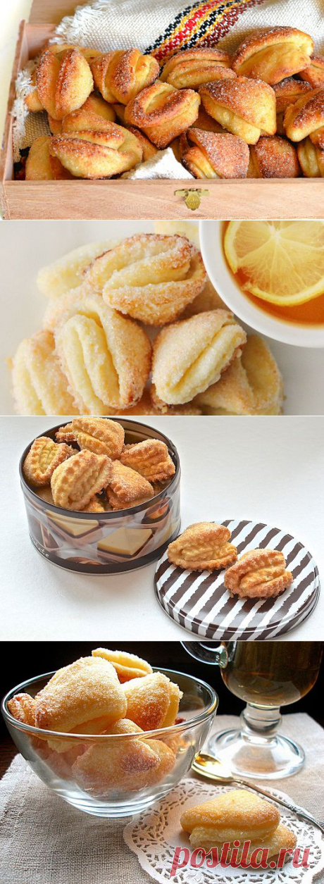 Как приготовить вкусное и сладкое печенье из творога?
