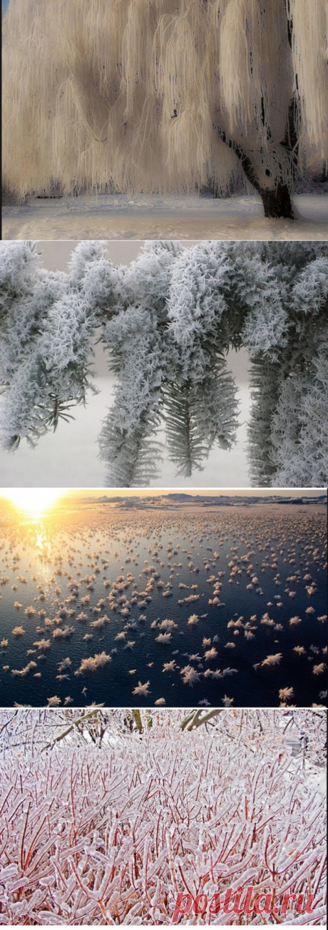 Такое чудо могла сотворить только природа...