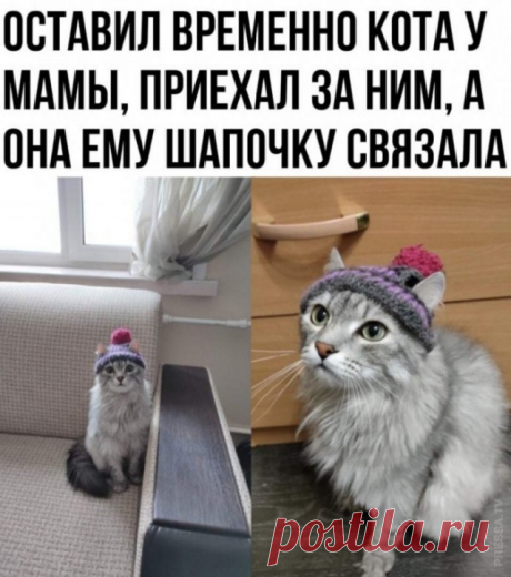 Картинки и мемы для настроения 005 - ЯПлакалъ