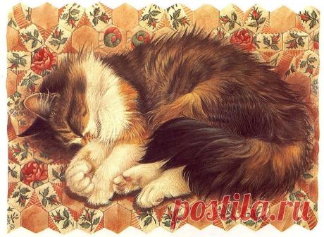 лесли энн айвори meet my cats - Поиск в Google
