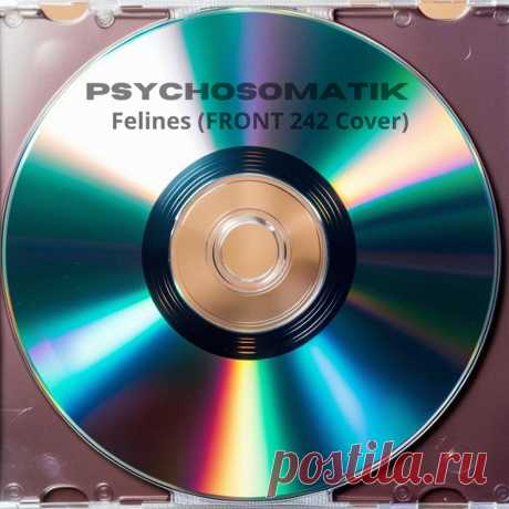 Psychosomatik - Felines (Front 242 Cover) (2025) 320kbps / FLAC