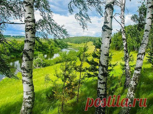 Одноклассники