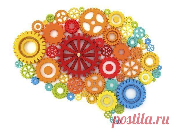 Тренируем извилины.