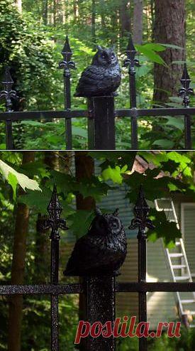 Птицы на заборе ( подборка) / Городская среда (граффити, снеговики, ets) / ВТОРАЯ УЛИЦА