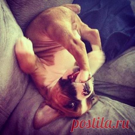 Fishki.net - Сайт хорошего настроения