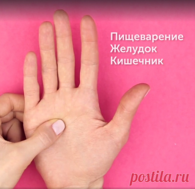 5 активных точек на ладонях, которые управляют организмом