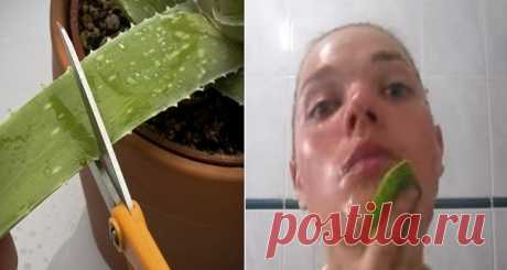 Она протерла лицо Алоэ Вера. Что произошло через 15 минут удивит Вас!