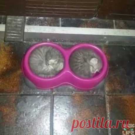 (6) Facebook