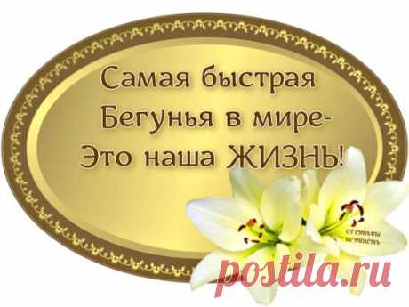 Когда на улице ненастье
Мы забываем слово,,счастье''.
Ворчим, а поезд жизни мчится,
И этот день не повторится...
Мы часто слушаем — не слыша.
Привычно дышим — не дыша.
На мир глядим — его не видя.
Глаза открыты... Спит душа...
А жизнь проходит - мимо, мимо,
ни день, ни час не повторить...
Прошу души - живой, ранимой...
Чтоб видеть, чувствовать и жить!