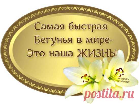 Когда на улице ненастье
Мы забываем слово,,счастье''.
Ворчим, а поезд жизни мчится,
И этот день не повторится...
Мы часто слушаем — не слыша.
Привычно дышим — не дыша.
На мир глядим — его не видя.
Глаза открыты... Спит душа...
А жизнь проходит - мимо, мимо,
ни день, ни час не повторить...
Прошу души - живой, ранимой...
Чтоб видеть, чувствовать и жить!