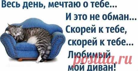 no comments