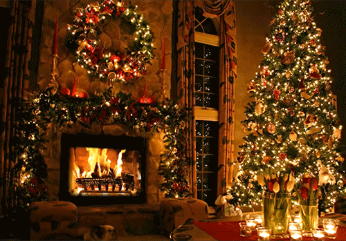 GIFS HERMOSOS: cosa s navideñas y flores encontrdaas en la web