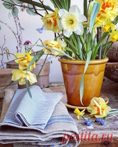 Дни — как ступеньки лестницы. По-разному можно пройти по ним, важно только, чтобы ежедневно подниматься на новую ступеньку, не стоять на месте или, того хуже, не спускаться вниз.
Николай Иванович Сладков