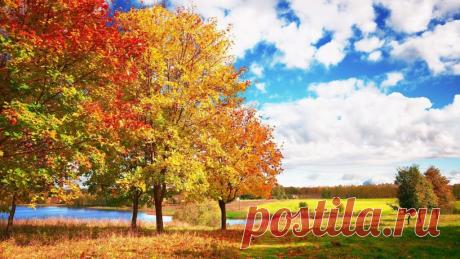 Картинки про бабье лето (46 фото) ⭐ Забавник