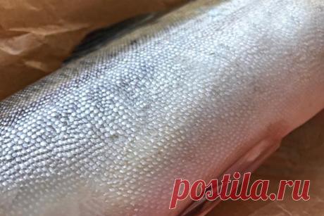 Горбуша потрошенная без головы с/м купить от 800 гр тушка, цена и доставка