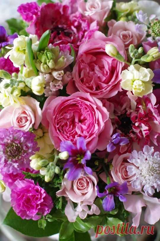 (38) Pinterest