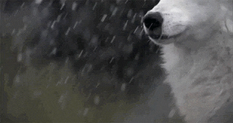 Анимашки(gif) | Группы Мой Мир