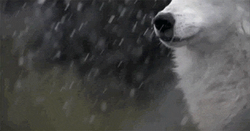 Анимашки(gif) | Группы Мой Мир