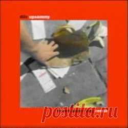 DIIV - Brown Paper Bag (Upsammy Remix) (2025) [Single] Artist: DIIV Album: Brown Paper Bag (Upsammy Remix) Year: 2025 Country: USA Style: Shoegaze, Dream Pop