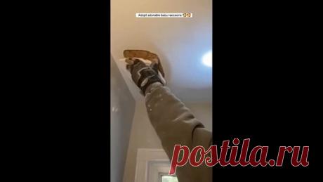 Добрая история