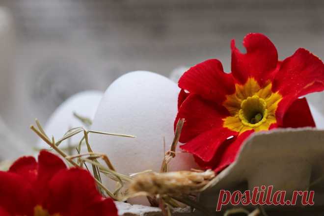 Что можно сделать своими руками из яичных лотков