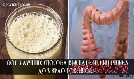 Вот 3 лучших способа выгнать из кишечника до 5 кило токсинов Вот 3 лучших способа выгнать из кишечника до 5 кило токсинов.И вкусно, и полезно. Даже если вы ведете здоровый образ жизни, в вашем организме