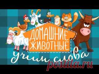 ОБУЧАЮЩИЕ МУЛЬТФИЛЬМЫ ДЛЯ МАЛЕНЬКИХ
Эти красочные и забавные мультфильмы от канала «Ладушки-Ладушки» увлекут малыша в большой мир вокруг нас. Методика положенная в основу этих мультфильмов — популярные карточки Домана. Видеопособие создано для развития памяти, устной речи и быстрого познания окружающего мира детьми.

• Домашние животные
• Лесные животные
Показать полностью…
