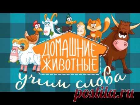 ОБУЧАЮЩИЕ МУЛЬТФИЛЬМЫ ДЛЯ МАЛЕНЬКИХ
Эти красочные и забавные мультфильмы от канала «Ладушки-Ладушки» увлекут малыша в большой мир вокруг нас. Методика положенная в основу этих мультфильмов — популярные карточки Домана. Видеопособие создано для развития памяти, устной речи и быстрого познания окружающего мира детьми.

• Домашние животные
• Лесные животные
Показать полностью…