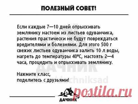 (1) Одноклассники