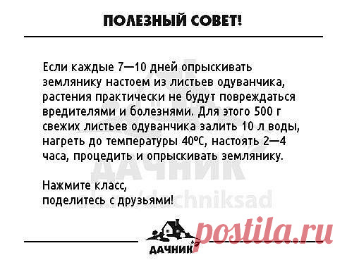 (1) Одноклассники