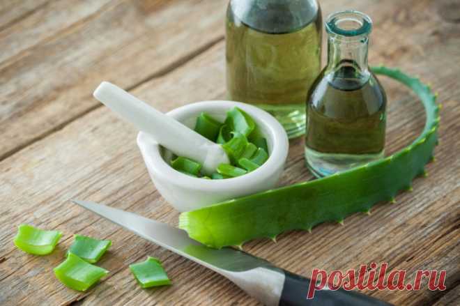 Как использовать АЛОЭ для красоты и здоровья?