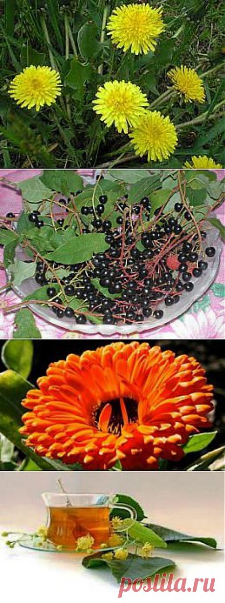 Аптека под ногами |