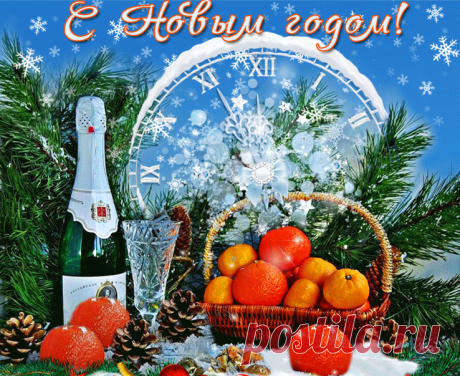 В гостях у НИНОК.