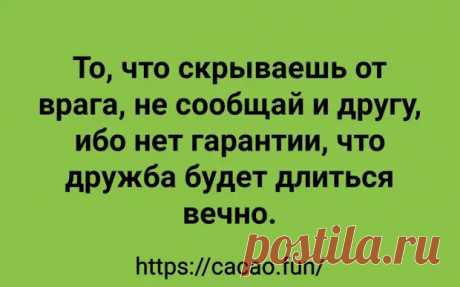 (30) Суперсмешные анекдоты для отличного настроения - Сказка для двоих - 12 января - 43277240720 - Медиаплатформа МирТесен