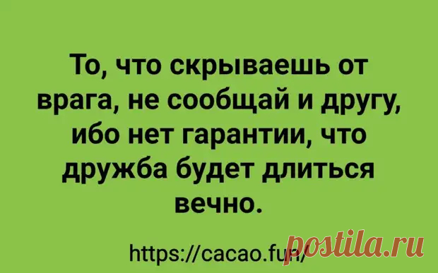 (30) Суперсмешные анекдоты для отличного настроения - Сказка для двоих - 12 января - 43277240720 - Медиаплатформа МирТесен