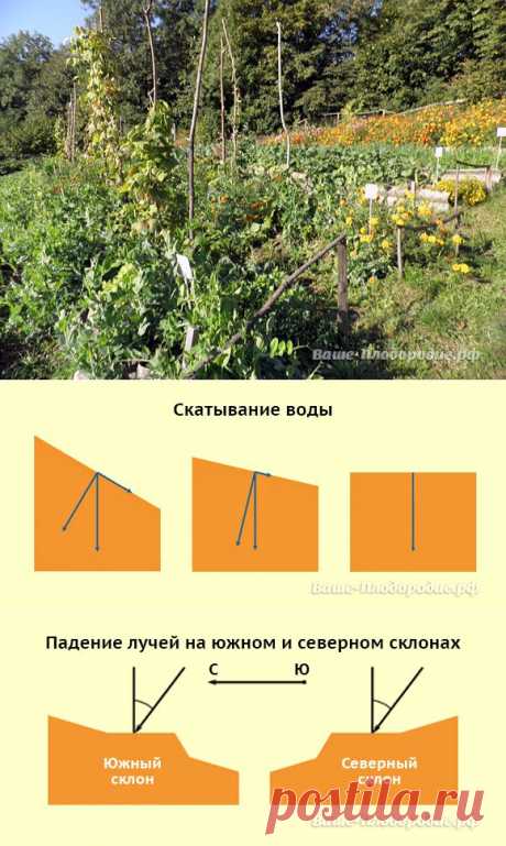 Поливы и сооружение горизонтальных террас на покатых участках - 6 соток