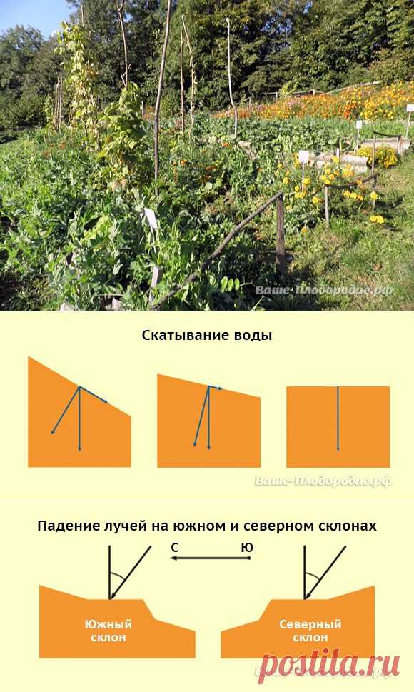 Поливы и сооружение горизонтальных террас на покатых участках - 6 соток
