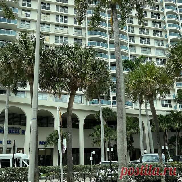 Photo by Ludmila Suhorukova on November 01, 2021. May be an image of outdoors and palm trees.