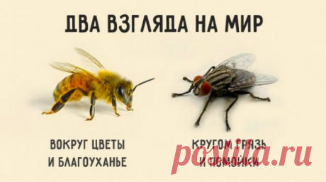 Притча: Два взгляда на мир
